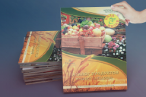 обложка для каталога