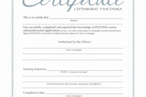 Сертификат2
