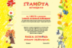 Грамота для фонда "социальный интернет"