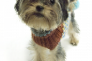 Это тоже товар