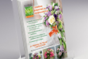 Работа 2250791