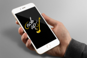 Работа 2980712