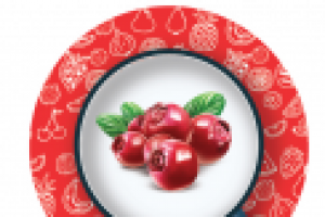 Работа 2980655