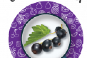 Работа 2980657