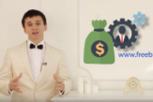 Инфографика для сайта freebix.pro