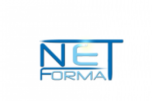 Логотип для IT-компании "Сетевой формат"