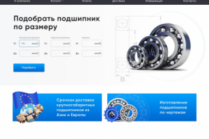 Разработка дизайна сайта подшипников ООО «ДаНаст»