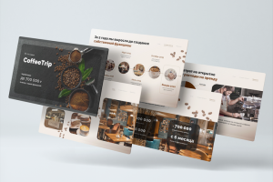 Презентация франшизы