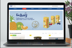 Разработка сайта интернет-магазина Детского питания