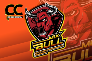 ЛОГОТИП - BULLMIX - Магазин Спортивного Питания