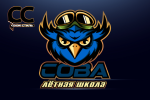 ЛОГОТИП - СОВА - Лётная Школа