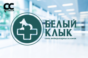 ЛОГОТИП - БЕЛЫЙ КЛЫК - Сеть Ветеринарных Клиник