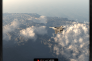 Работа 1036683