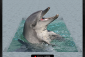 Работа 1036715