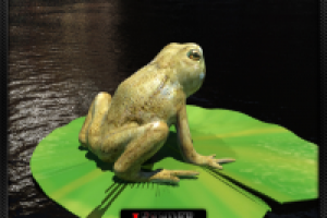 Работа 1036714