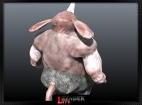 img1036702.png