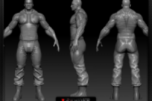 Работа 1036697