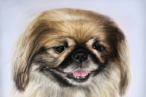 Работа 1036727