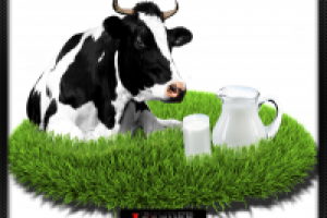 Работа 1037035