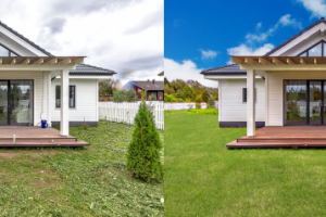 замена газона и неба + чистка дома