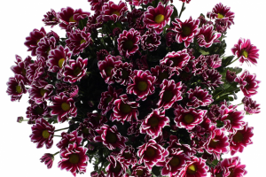 обтравка букетов