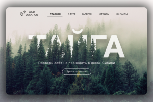 Туры в тайгу