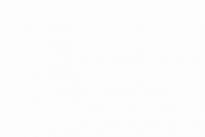 Анимация логотипа