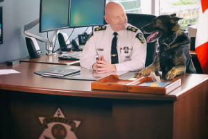 Иллюстрация для визуальной новэллы кабинет шерифа