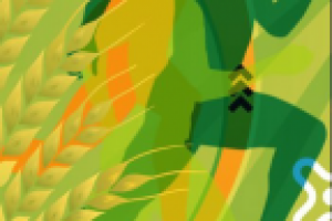 Боковая сцена для фотозоны