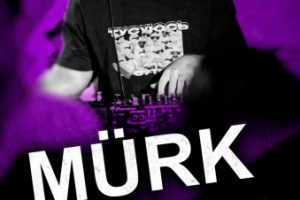 Пресс кит для диджея