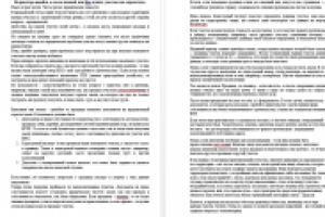 На риелтора надейся, а сам не плошай