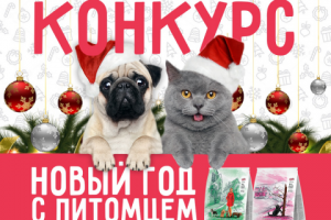 Картинка для поста