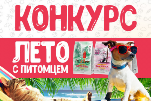 Картинка для поста