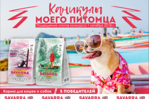 Работа 3574825