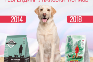 Баннер инстаграм