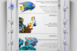 Верстка и программирование резинового дизайна (3/4)