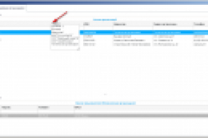 Разработка ДТЗ для портирования из ПК версии в среду ВЕБ (8/35)