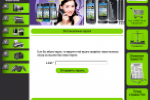 Интернет-магазин + доска объявлений (фото 21/24)