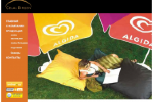 Сайт-визитка продажа флагов (фото 8/8)