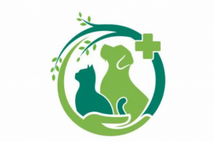 Разработка сайта под ключ ВЕТКЛИНИКА