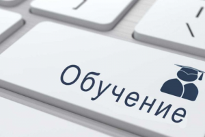 Курсы Санкт-Петербург + Область