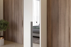 Визуализация шкафа в интерьере