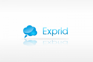 Exprid - логотип для сайта