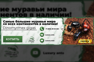 Креатив_для_сайта_1