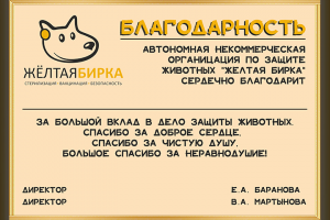 Благодарность_1