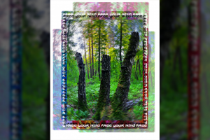 Принт_на_футболку