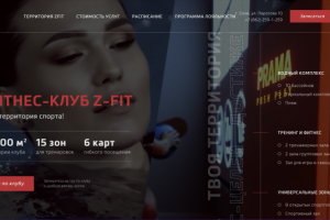 Редизайн и сопровождение сайта Зфит (Норникель)