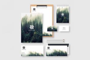 Дизайн фирменного стиля