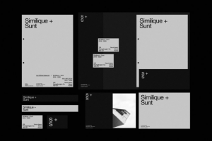 Разработка логотипа