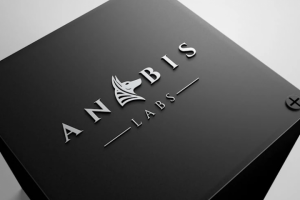 Разработка логотипа